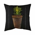 Begin Home Decor 20 x 20 in. Plant of Bay Leaves-Double Sided Print Indoor Pillow 5541-2020-GA51